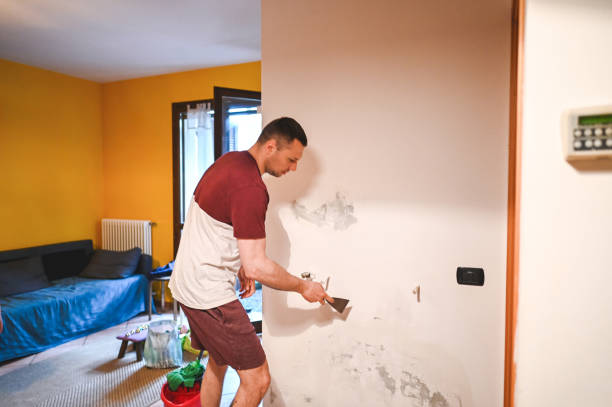 Best Residential Mold Remediation in Del Rio, TX