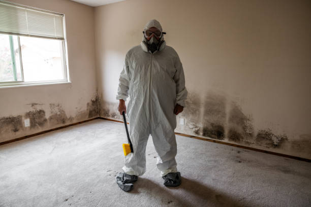 Professional Mold Remediation in Del Rio, TX