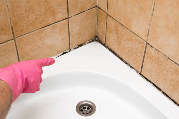 Best Bathroom Mold Remediation in Del Rio, TX